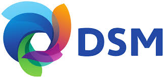 DSM - Trusted by AND Business Consulting DSM logo